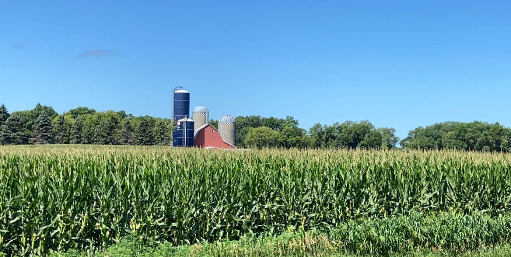 Farmland at golden hour
